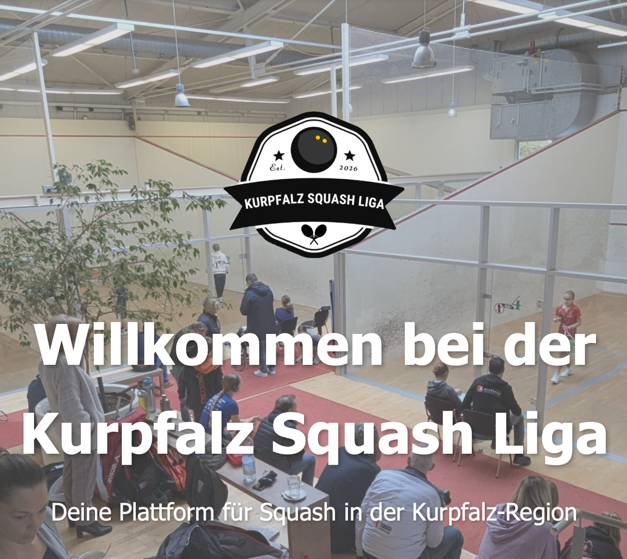 Du betrachtest gerade Box-Liga ist jetzt live!